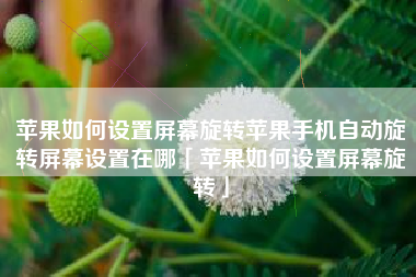 苹果如何设置屏幕旋转苹果手机自动旋转屏幕设置在哪「苹果如何设置屏幕旋转」