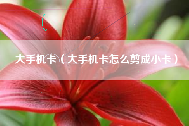 大手机卡（大手机卡怎么剪成小卡）