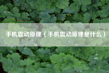 手机震动原理（手机震动原理是什么）