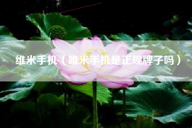 维米手机（唯米手机是正规牌子吗）