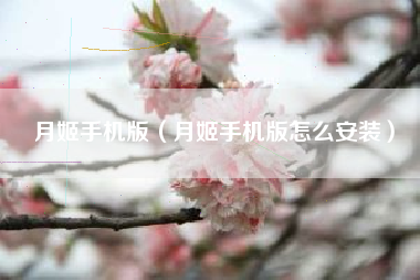 月姬手机版（月姬手机版怎么安装）