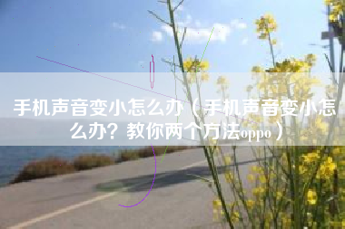 手机声音变小怎么办（手机声音变小怎么办？教你两个方法oppo）
