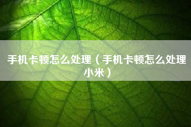 手机卡顿怎么处理（手机卡顿怎么处理小米）