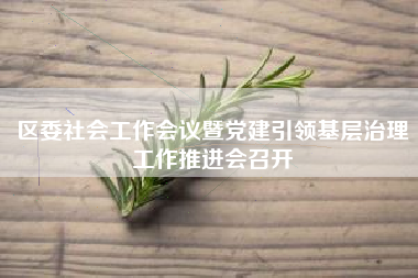 区委社会工作会议暨党建引领基层治理工作推进会召开