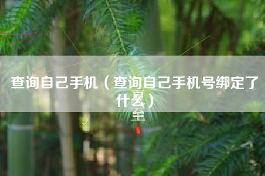 查询自己手机（查询自己手机号绑定了什么）