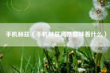 手机赫兹（手机赫兹高低意味着什么）
