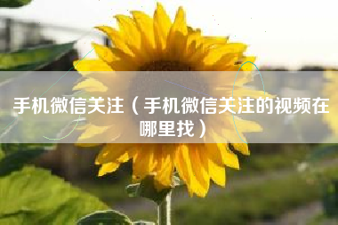手机微信关注（手机微信关注的视频在哪里找）