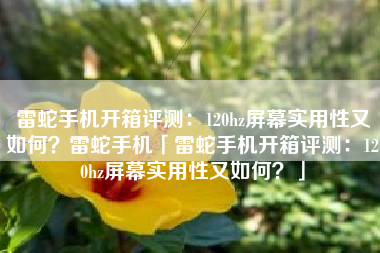 雷蛇手机开箱评测：120hz屏幕实用性又如何？雷蛇手机「雷蛇手机开箱评测：120hz屏幕实用性又如何？」