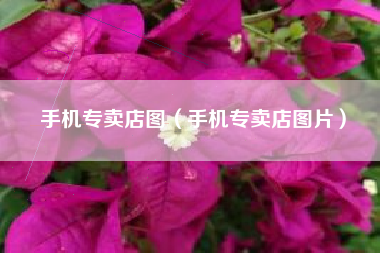 手机专卖店图（手机专卖店图片）