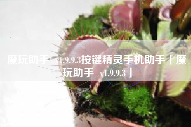 魔玩助手 v1.9.9.3按键精灵手机助手「魔玩助手 v1.9.9.3」 魔玩助手 v1.9.9.3按键精灵手机助手「魔玩助手 v1.9.9.3」