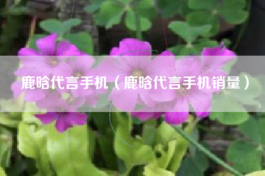 鹿晗代言手机（鹿晗代言手机销量）