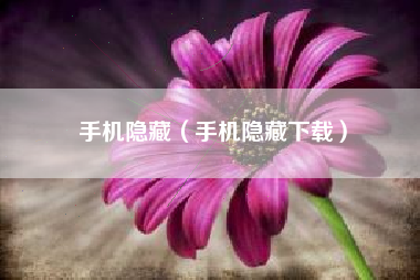 手机隐藏（手机隐藏下载）