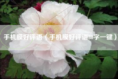手机膜好评语（手机膜好评语30字一键）