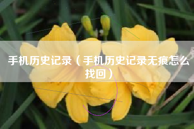 手机历史记录（手机历史记录无痕怎么找回）