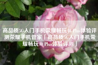 高品质5G入门手机荣耀畅玩40 Plus体验评测荣耀手机管家「高品质5G入门手机荣耀畅玩40 Plus体验评测」