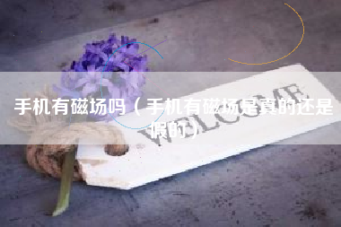 手机有磁场吗（手机有磁场是真的还是假的）