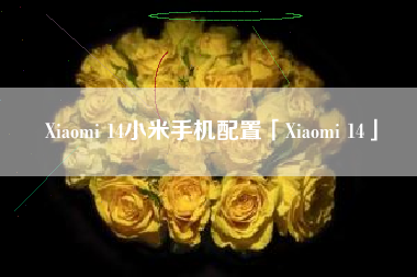 Xiaomi 14小米手机配置「Xiaomi 14」 Xiaomi 14小米手机配置「Xiaomi 14」