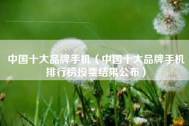 中国十大品牌手机（中国十大品牌手机排行榜投票结果公布）