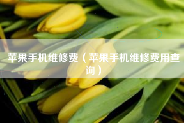 苹果手机维修费（苹果手机维修费用查询）