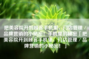 把美容院开到顾客手机里，门店管理／品牌营销的小秘密！手机里的秘密「把美容院开到顾客手机里，门店管理／品牌营销的小秘密！」