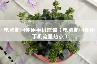 电脑如何使用手机流量（电脑如何使用手机流量热点）