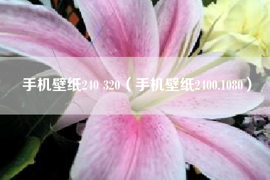 手机壁纸240 320（手机壁纸2400.1080）