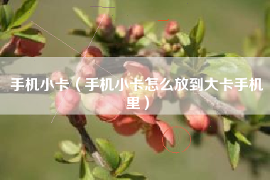 手机小卡（手机小卡怎么放到大卡手机里）