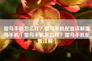 雷鸟手机怎么样？雷鸟手机配置详解雷鸟手机「雷鸟手机怎么样？雷鸟手机配置详解」