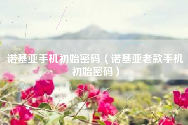 诺基亚手机初始密码（诺基亚老款手机初始密码）