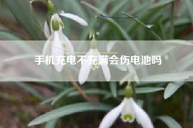 手机充电不充满会伤电池吗