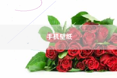 手机壁纸