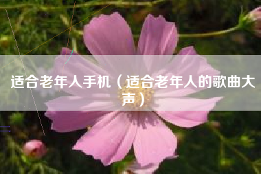 适合老年人手机（适合老年人的歌曲大声）