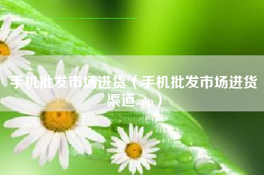 手机批发市场进货（手机批发市场进货渠道app）