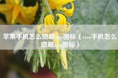 苹果手机怎么隐藏app图标（vivo手机怎么隐藏app图标）