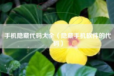 手机隐藏代码大全（隐藏手机软件的代码）