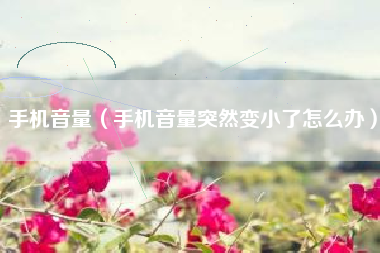 手机音量（手机音量突然变小了怎么办）