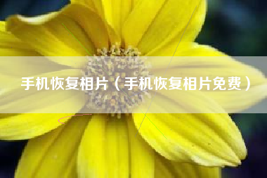 手机恢复相片（手机恢复相片免费）