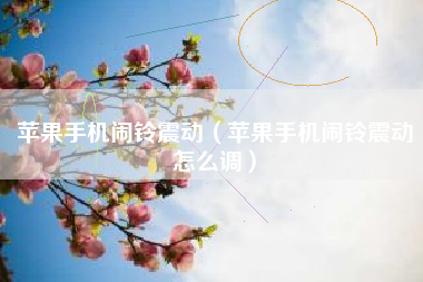 苹果手机闹铃震动（苹果手机闹铃震动怎么调）