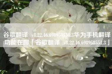 谷歌翻译 v8.22.46.698958551.3华为手机翻译功能在哪「谷歌翻译 v8.22.46.698958551.3」 谷歌翻译 v8.22.46.698958551.3华为手机翻译功能在哪「谷歌翻译 v8.22.46.698958551.3」