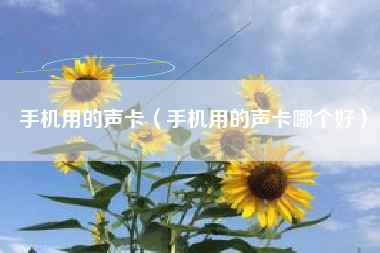 手机用的声卡（手机用的声卡哪个好）