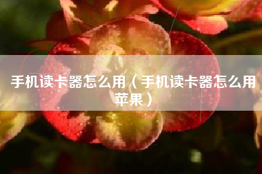 手机读卡器怎么用（手机读卡器怎么用苹果）