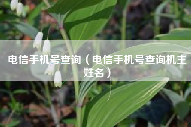 电信手机号查询（电信手机号查询机主姓名）