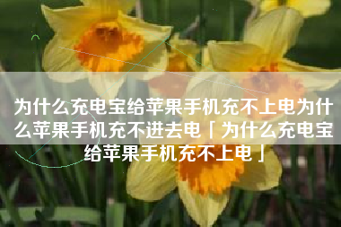 为什么充电宝给苹果手机充不上电为什么苹果手机充不进去电「为什么充电宝给苹果手机充不上电」
