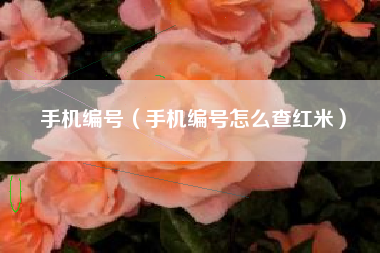 手机编号（手机编号怎么查红米）