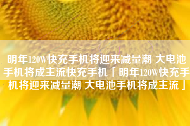 明年120W快充手机将迎来减量潮 大电池手机将成主流快充手机「明年120W快充手机将迎来减量潮 大电池手机将成主流」