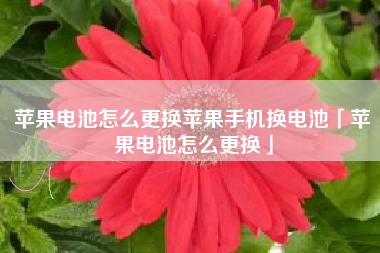 苹果电池怎么更换苹果手机换电池「苹果电池怎么更换」