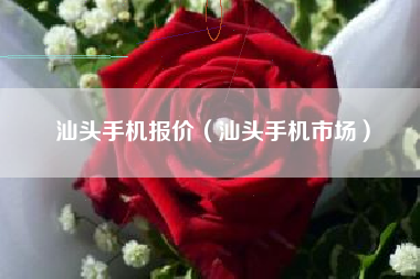 汕头手机报价（汕头手机市场）