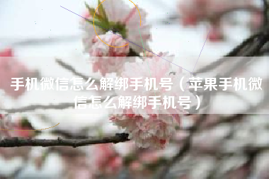手机微信怎么解绑手机号（苹果手机微信怎么解绑手机号）