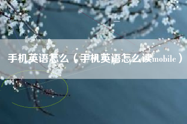 手机英语怎么（手机英语怎么读mobile）