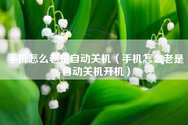 手机怎么老是自动关机（手机怎么老是自动关机开机）